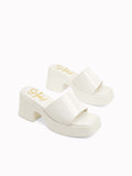 Katelyn Platform Slides