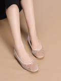 Nisha Flat Ballerinas