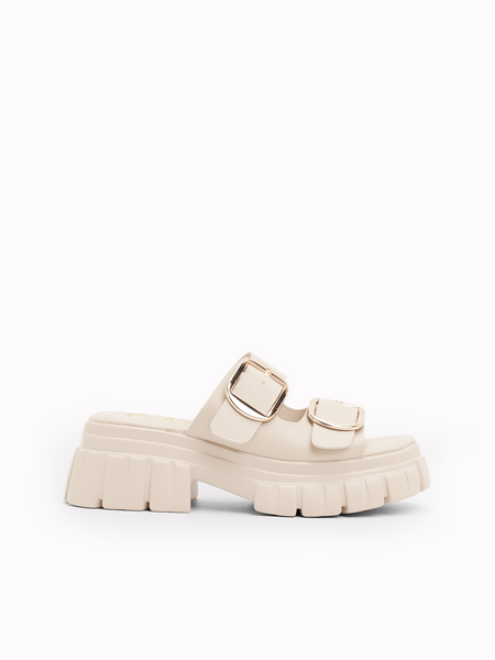 Rochelle Platform  Slides