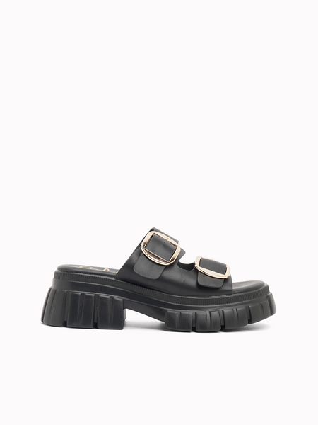 Rochelle Platform  Slides