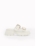 Rochelle Platform  Slides