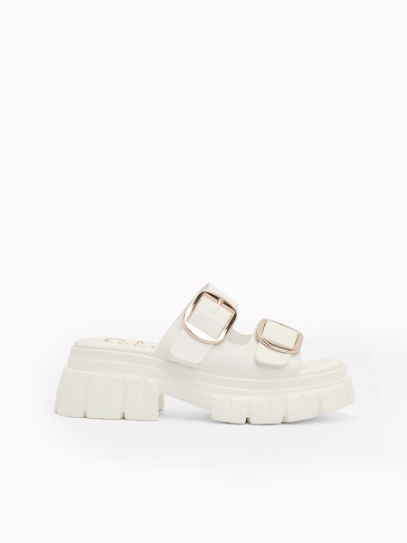 Rochelle Platform  Slides
