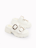 Rochelle Platform  Slides