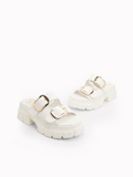 Rochelle Platform  Slides